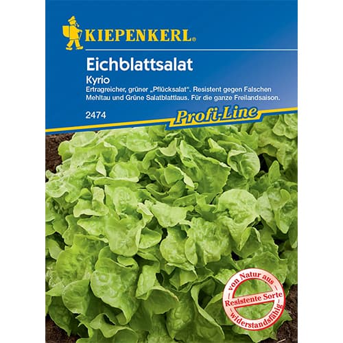 Eichblattsalat Kyrio interface.image 1 interface.art 96609