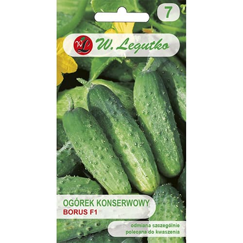 Einlegegurke Borus F1 interface.image 1 interface.art 86882