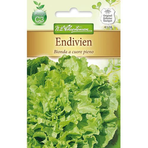 Endivie Bionda a cuore pieno interface.art Bild 1 Endivie Bionda a cuore pieno interface.image 1 interface.art 78763