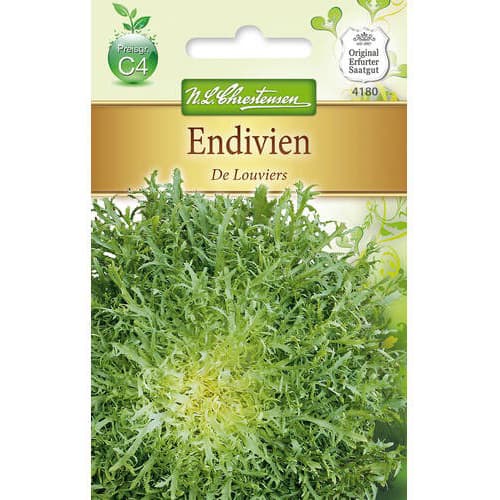 Endivie De Louviers interface.art Bild 1 Endivie De Louviers interface.image 1 interface.art 78765