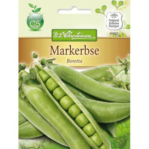 Markerbse Boretta interface.art Bild 1 Markerbse Boretta interface.image 1 interface.art 78837