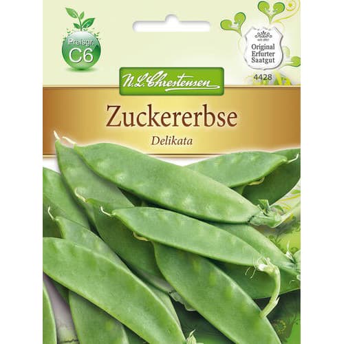 Zuckererbse Delikata interface.art Bild 1 Zuckererbse Delikata interface.image 1 interface.art 78843