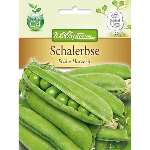 Schalerbse Frühe Harzerin interface.art Bild 1 Schalerbse Frühe Harzerin interface.image 1 interface.art 78841