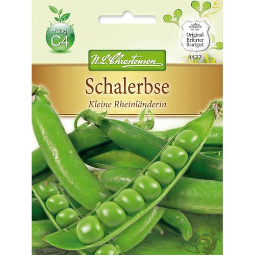 Schalerbse Kleine Rheinlanderin interface.art Bild 1 Schalerbse Kleine Rheinlanderin interface.image 1 interface.art 78842