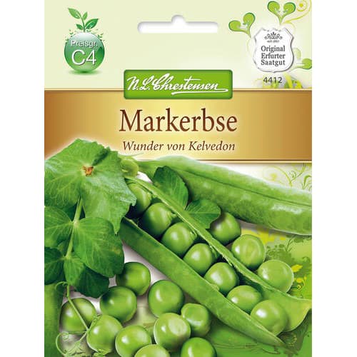 Markerbse Wunder von Kelvedon interface.art Bild 1 Markerbse Wunder von Kelvedon interface.image 1 interface.art 78839