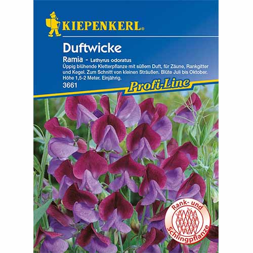 Duftwicke Ramia interface.image 1 interface.art 96531