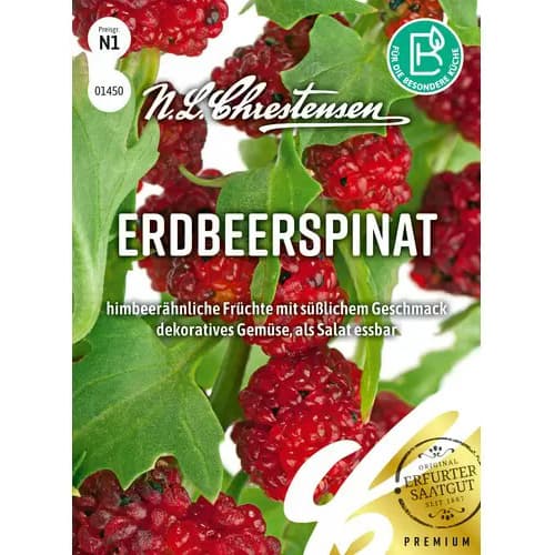 Erdbeerspinat Chrestensen interface.image 1 interface.art 96472