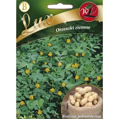 Erdnusskerne interface.image 1 interface.art 78667