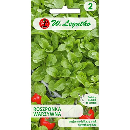 Feldsalat Verte de Cambrai Legutko interface.image 1 interface.art 78497