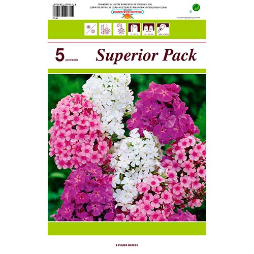 Flammenblume, Farbmischung interface.image 1 interface.art 76491