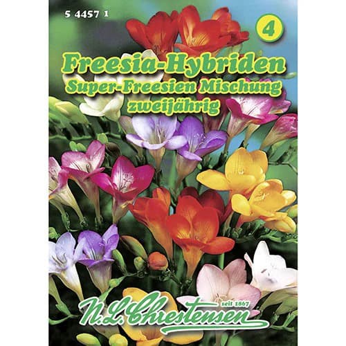 Freesie Super Mischung interface.art Bild 1 Freesie Super Mischung interface.image 1 interface.art 96421