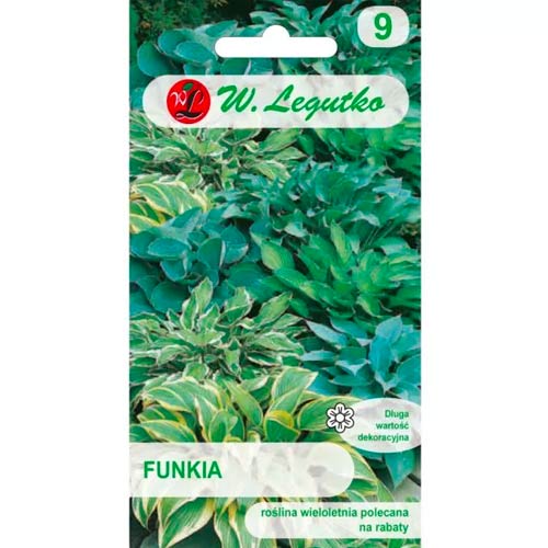 Funky (Hosta), mischung Legutko interface.image 1 interface.art 78600