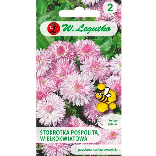 Gänseblümchen Mária Legutko interface.image 1 interface.art 50121