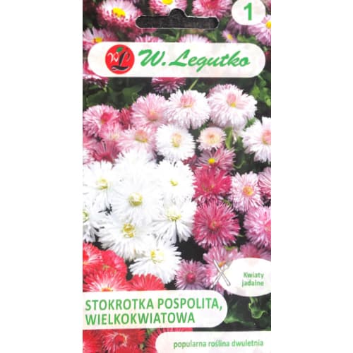 Gänseblümchen mischung Legutko interface.image 1 interface.art 50122