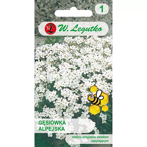 Gänsekresse Schneehaube Mischung interface.image 1 interface.art 87861