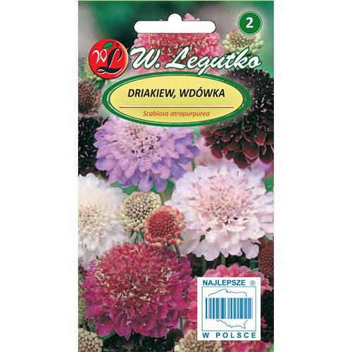 Gartenskabiose Mischung interface.image 1 interface.art 87856