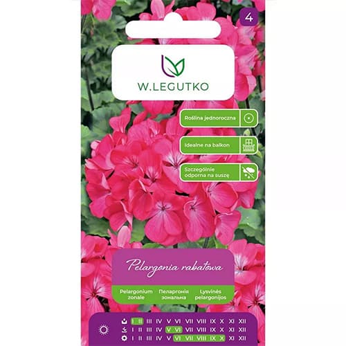 Geranie Gama F1 rosa interface.image 1 interface.art 69621