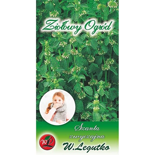 Gewöhnlicher Andorn interface.image 1 interface.art 69689