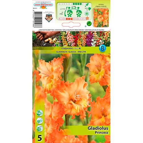 Gladiole Ruffled Princess interface.image 1 interface.art 76252