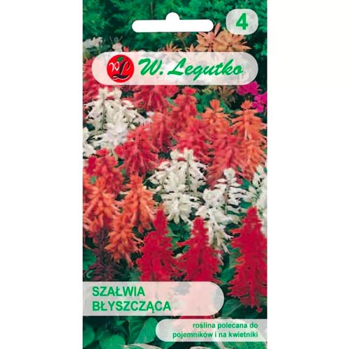 Glänzender Salbei, mischung Legutko interface.image 1 interface.art 78592