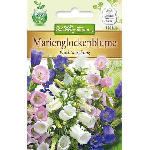 Marienglockenblume interface.art Bild 1 Marienglockenblume interface.image 1 interface.art 78953