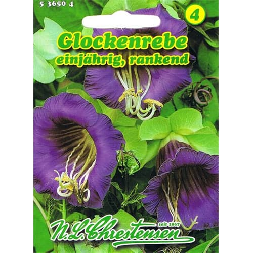 Glockenrebe Chrestensen interface.art Bild 1 Glockenrebe Chrestensen interface.image 1 interface.art 78982