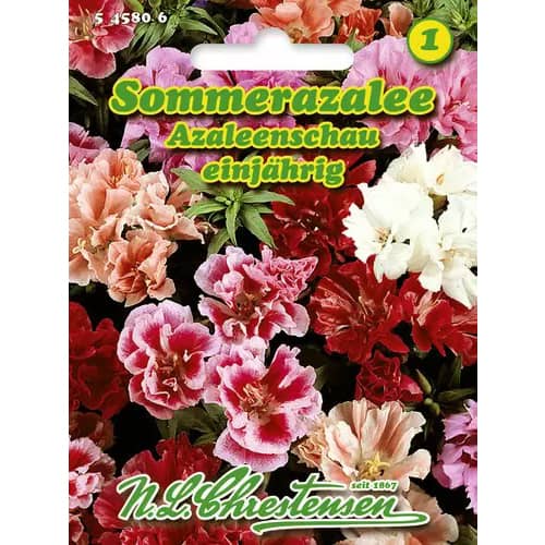 Sommerazalee Azaleenschau interface.art Bild 1 Sommerazalee Azaleenschau interface.image 1 interface.art 96424