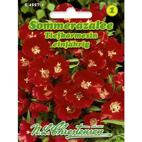Sommerazalee Tiefkarmesin interface.art Bild 1 Sommerazalee Tiefkarmesin interface.image 1 interface.art 96425