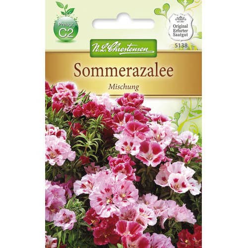 Sommerazalee Mischung interface.image 1 interface.art 78911