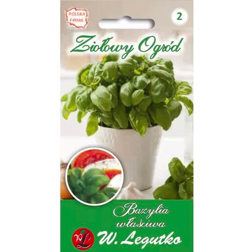 Grünblättriges Basilikum, echt Legutko interface.art Bild 1 Grünblättriges Basilikum, echt Legutko interface.image 1 interface.art 50126