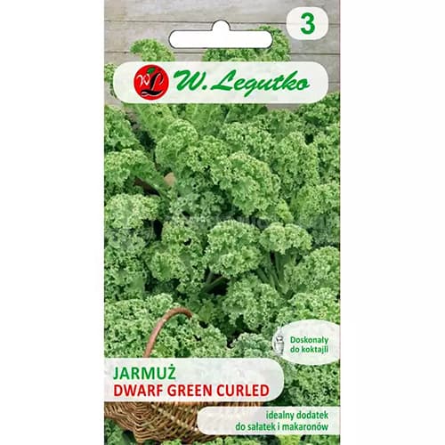 Grünkohl Dwarf Green Curled interface.image 1 interface.art 69474