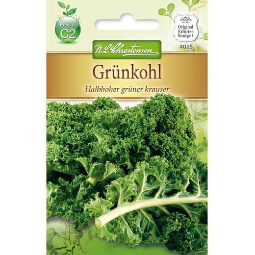 Grünkohl Halbhoher grüner krauser interface.image 1 interface.art 78716