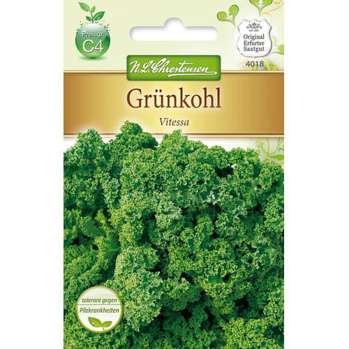 Grünkohl Vitessa interface.image 1 interface.art 78717