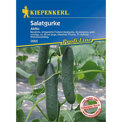 Salatgurke Akito F1 interface.image 1 interface.art 96667