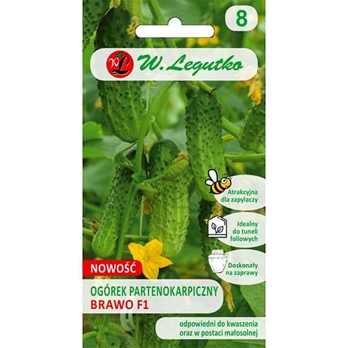 Gurke Brawo F1 (unter Schutz) interface.image 1 interface.art 86858