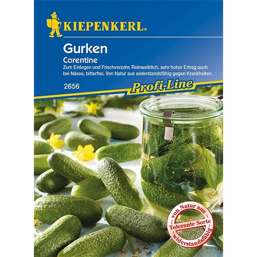 Gurke Corentine interface.image 1 interface.art 86443