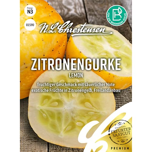 Zitronengurke Lemon interface.image 1 interface.art 86101