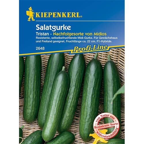 Gurke Midele Kiepenkerl interface.image 1 interface.art 50023