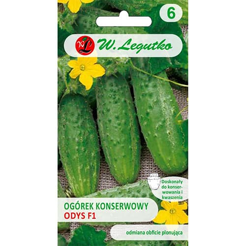 Gurke Odys F1 interface.image 1 interface.art 86879