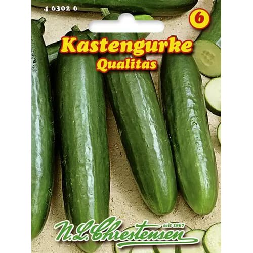 Kastengurke Qualitas interface.image 1 interface.art 96478