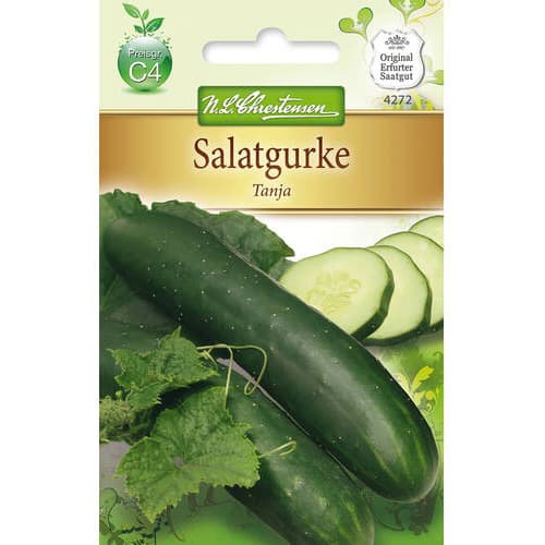 Salatgurke Tanja interface.image 1 interface.art 78792