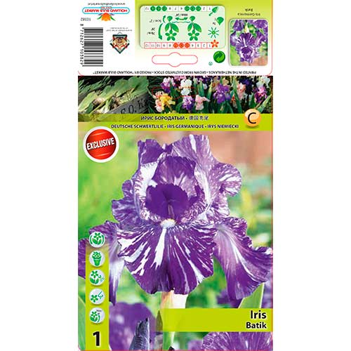 Hohe Schwertlilie Batik interface.image 1 interface.art 76282