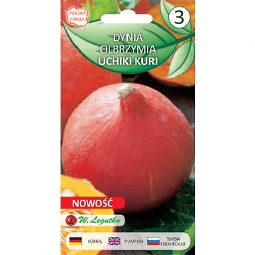 Hokkaido - Kürbis Uchiki Kuri interface.image 1 interface.art 78455