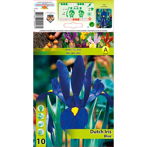 Holländische Schwertlilie Blue interface.image 1 interface.art 76227