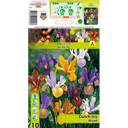 Holländische Schwertlilie, Farbmischung interface.image 1 interface.art 76229