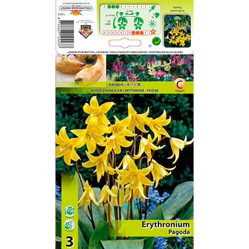 Hundzahn Pagoda interface.image 1 interface.art 67350