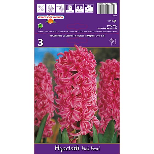 Hyazinthe Pink Pearl interface.image 1 interface.art 67365