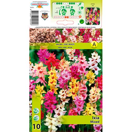 Iksia, farbmischung interface.art Bild 1 Iksia, farbmischung interface.image 1 interface.art 76295