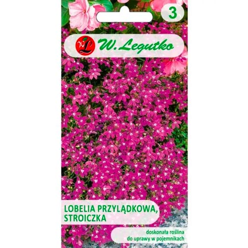 Kap-Lobelie (Stroichka) karminrot Legutko interface.art Bild 1 Kap-Lobelie (Stroichka) karminrot Legutko interface.image 1 interface.art 78572