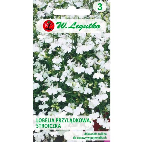 Kap-Lobelie (Stroichka) weiß Legutko interface.art Bild 1 Kap-Lobelie (Stroichka) weiß Legutko interface.image 1 interface.art 78571